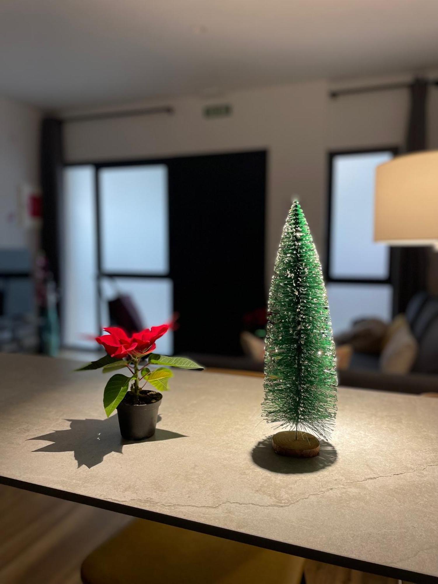 Junto Al Jardin Del Turia Apartamento バレンシア エクステリア 写真